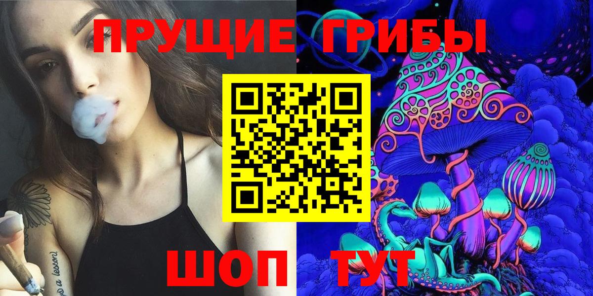 Псилоцибиновые грибы Cubensis  Вход с VPN  Тамбов 