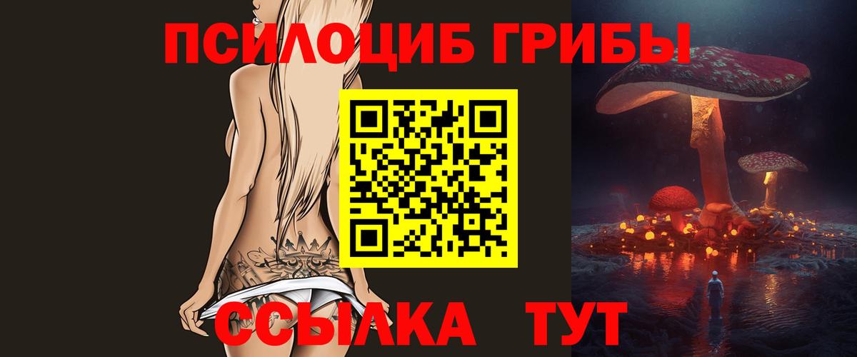 Галлюциногенные грибы мухоморы Тамбов
